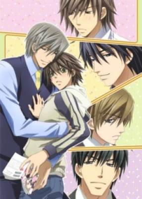 Junjou Romantica Special, Junjou Romantica Special