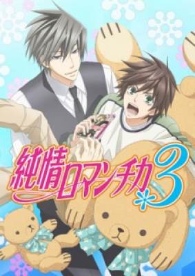 Junjou Romantica 3, Junjou Romantica 3