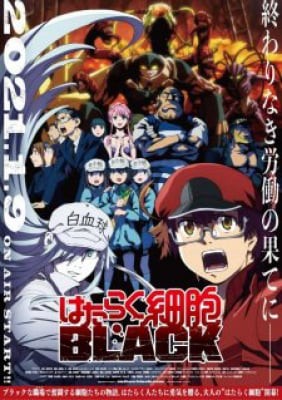 Hataraku Saibou Black (TV)